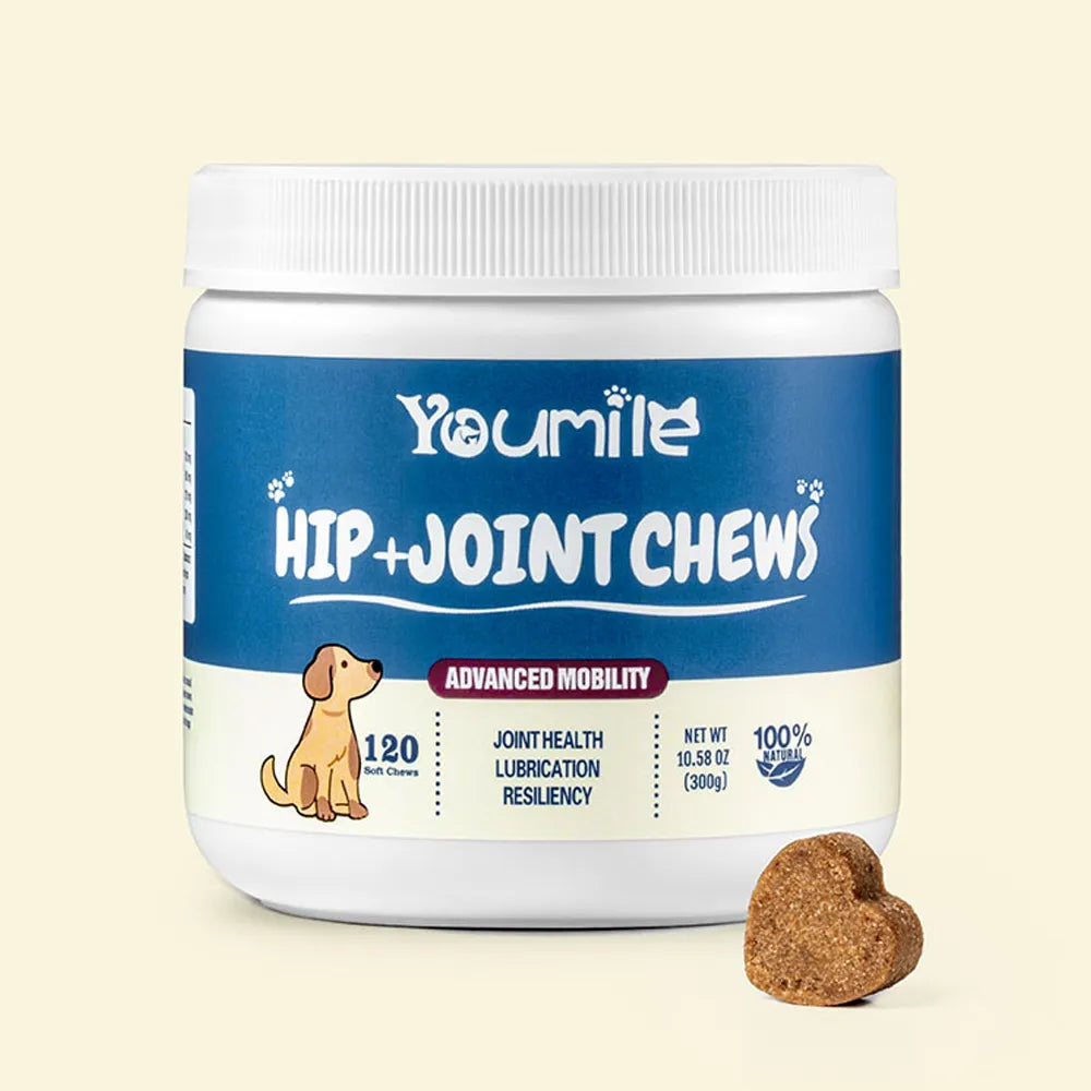 PawFlex Joint Relief Chews for dogs, showing the soft and palatable texture