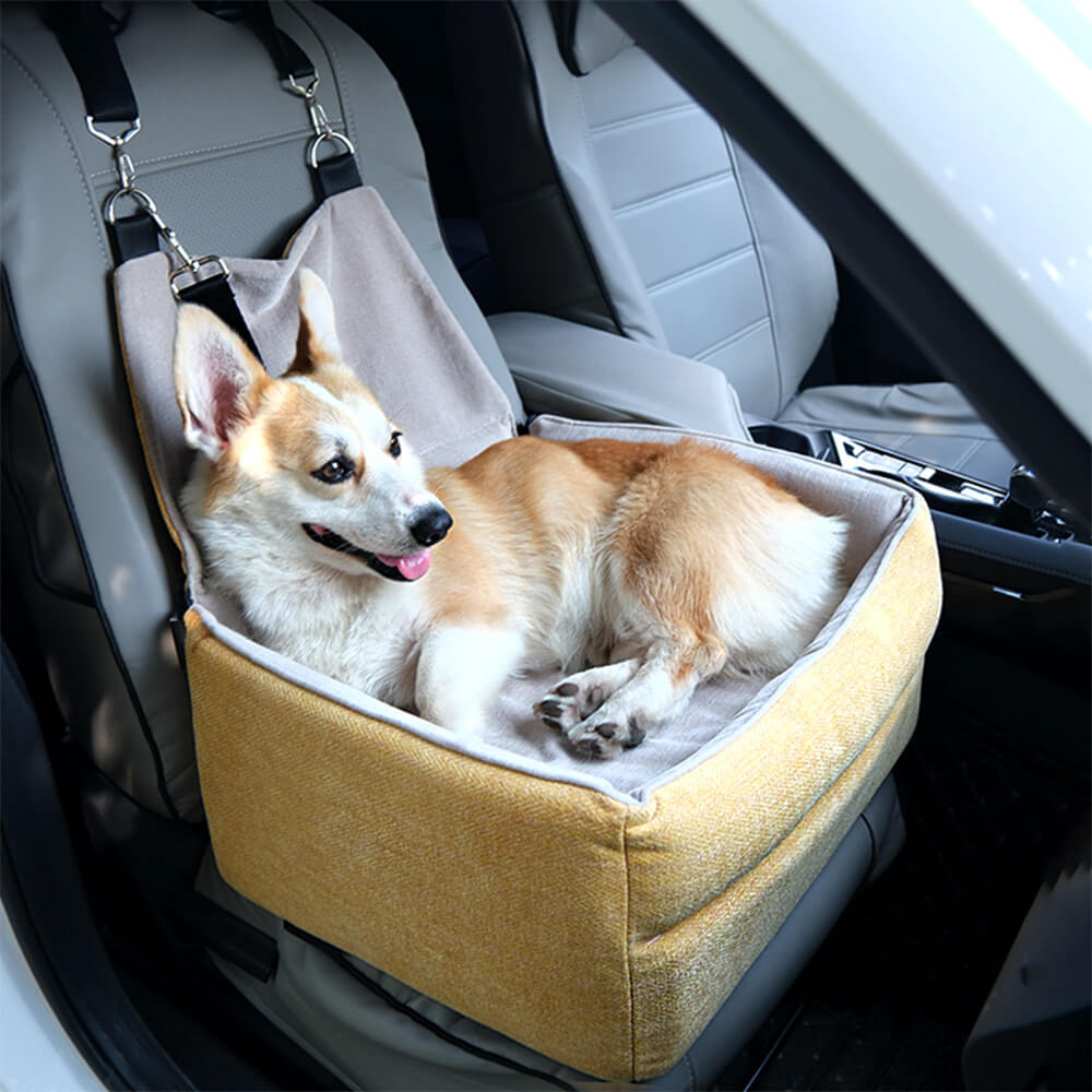 Small dog sitting in an elevated pet booster seat during a road trip, highlighting safety features and comfort