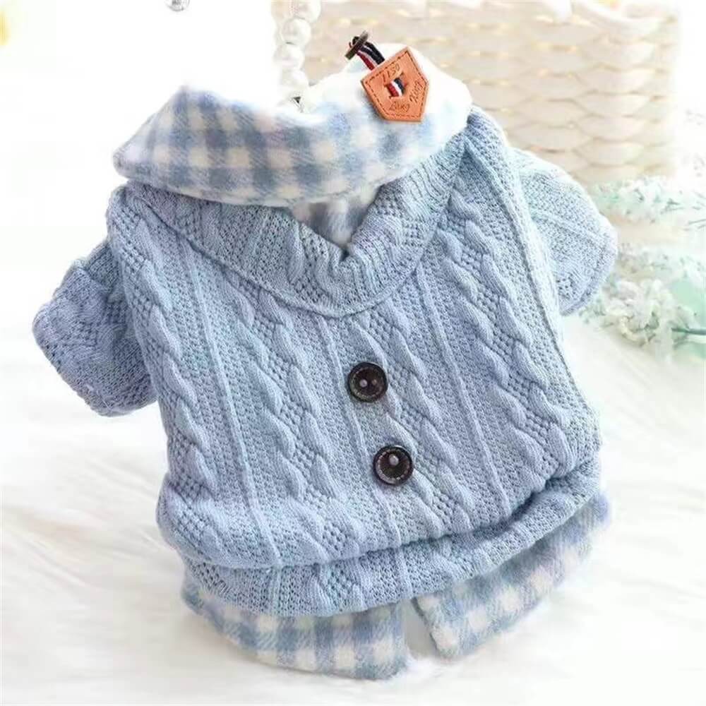 Pink knitted dog sweater with plaid collar on small breed dog during outdoor walk