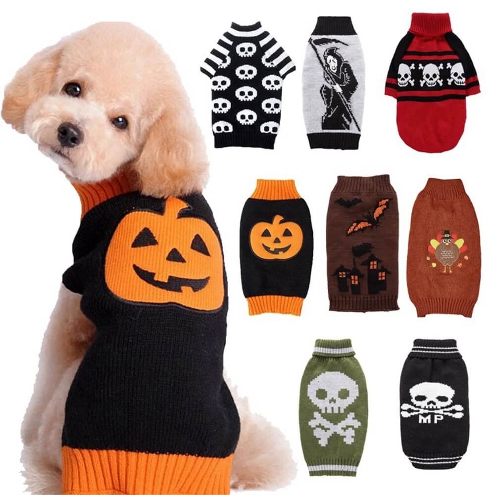 Cozy Halloween dog sweater with pumpkin design, perfect for festive photos.