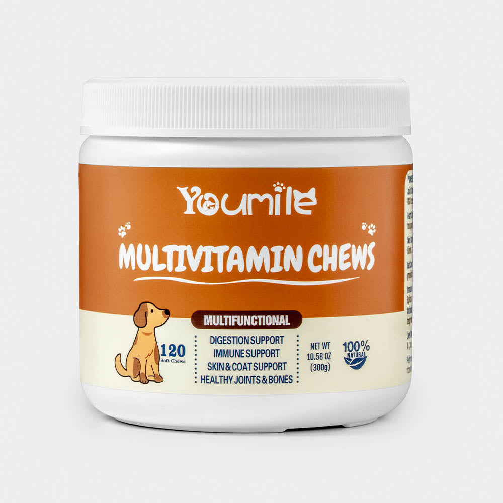 Canine Vitality Multivitamin Chews for dog immune support, showcasing the packaging and soft chews inside.