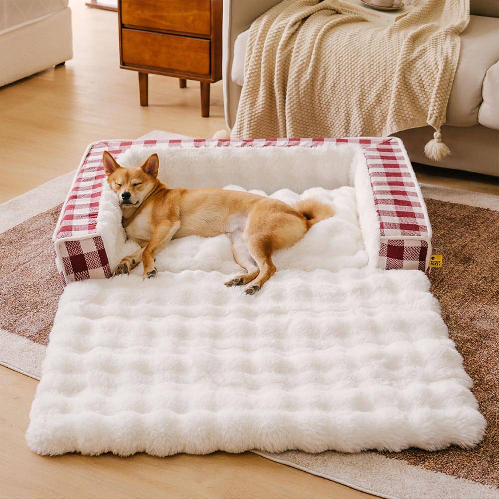 Close-up of plaid dog bed with removable cover and plush lining for comfort
