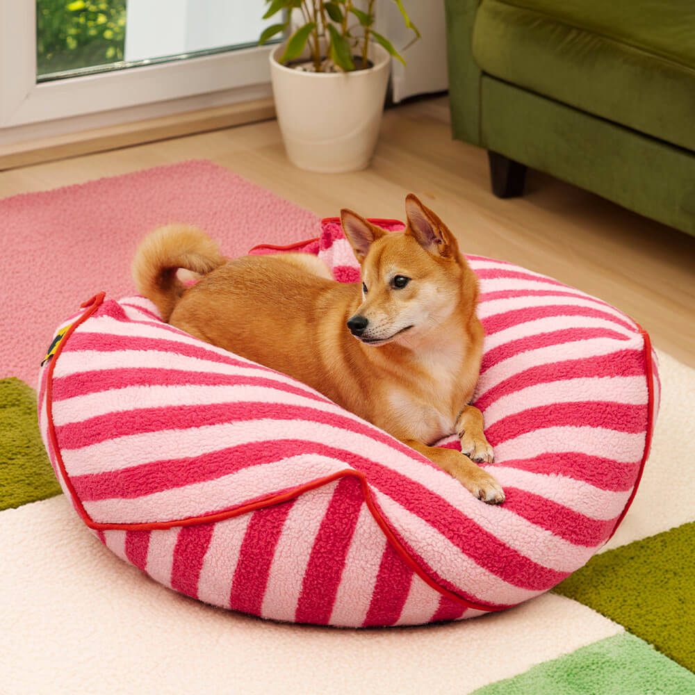 Chic striped bean bag dog bed in a cozy living room setting.