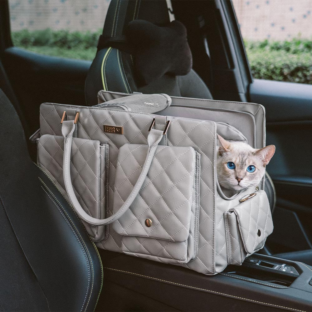 Front view of the travel cat bag showcasing its leather-textured finish and dual carrying straps.