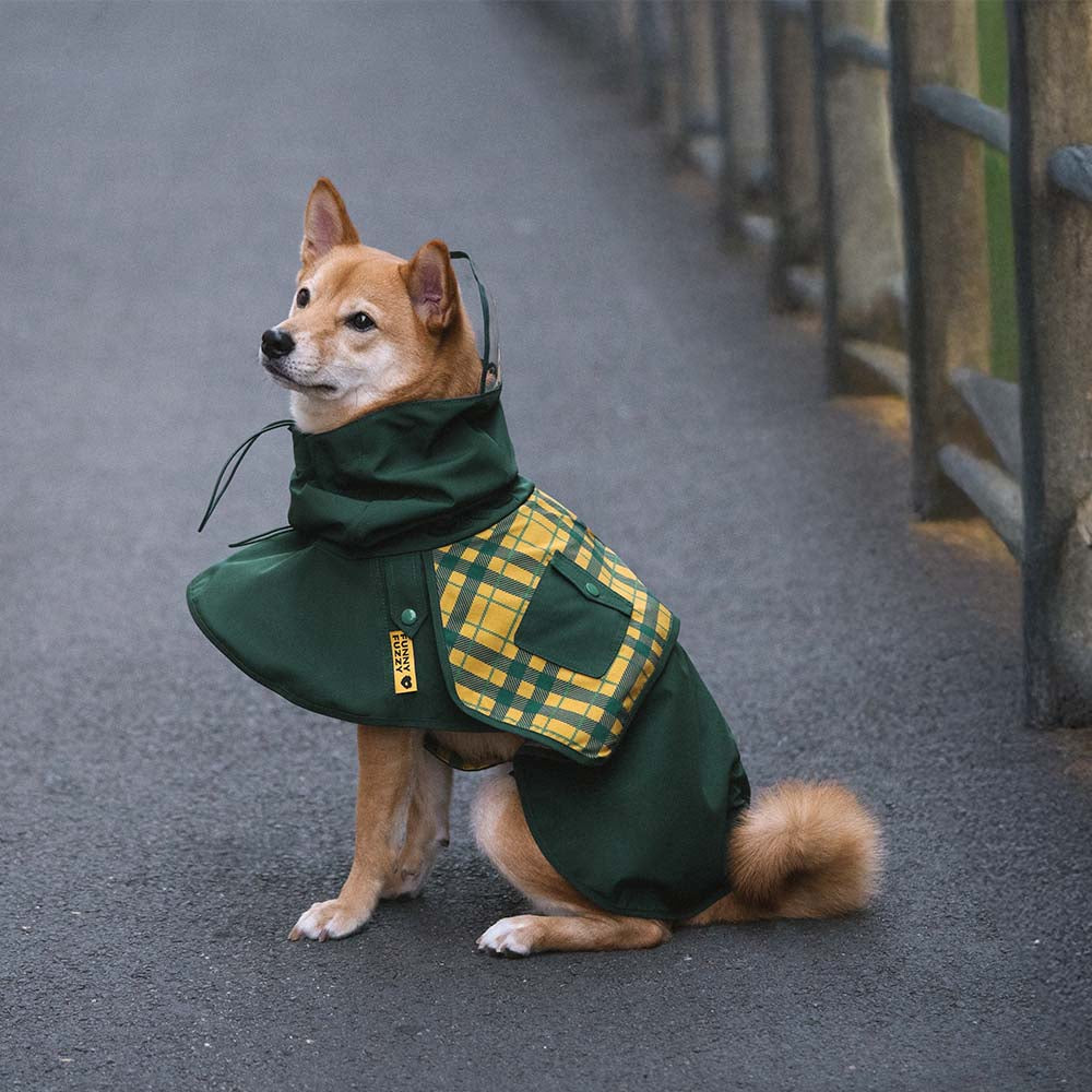 Plaid dog coat on a small breed dog, showcasing the adjustable design and waterproof material