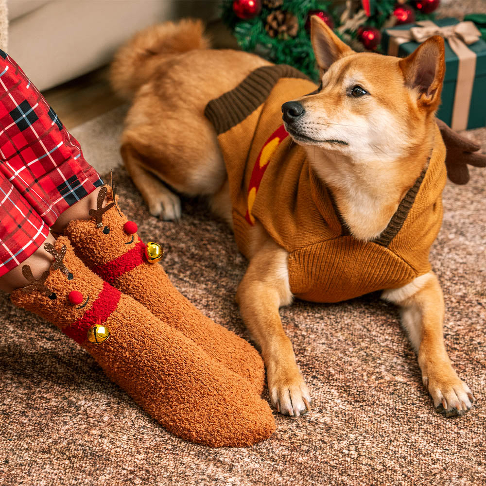 Christmas dog sweater and matching socks set for pet and owner