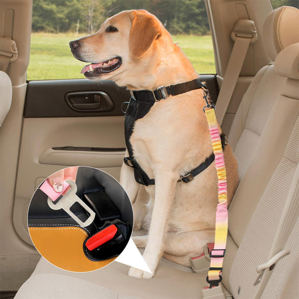 A golden retriever wearing the dog safety harness in a car, secured with the pet safety belt