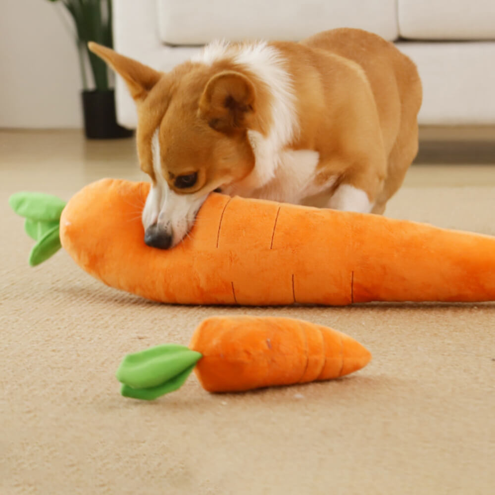 Close-up of the interactive carrot plush dog toy showcasing squeaky leaves.