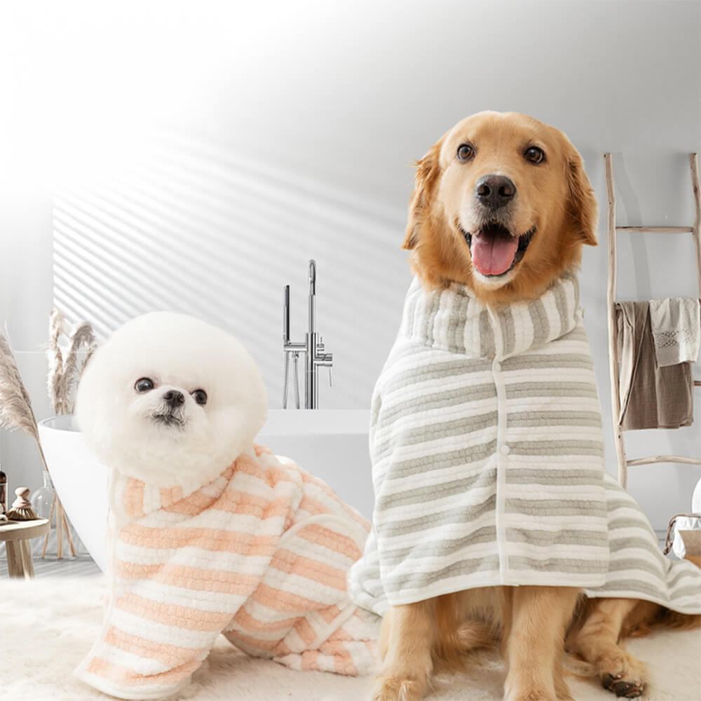 Large dog wearing an absorbent drying coat with Velcro strap