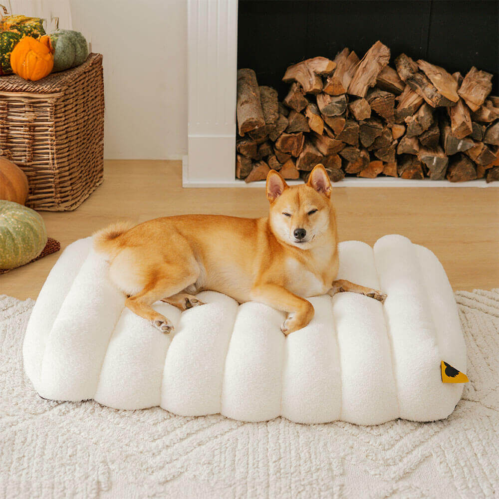 A cream-colored CloudNine Cozy Memory Foam Dog Bed placed in a sunlit living room, showcasing its plush, inviting texture and ample space for a large dog.