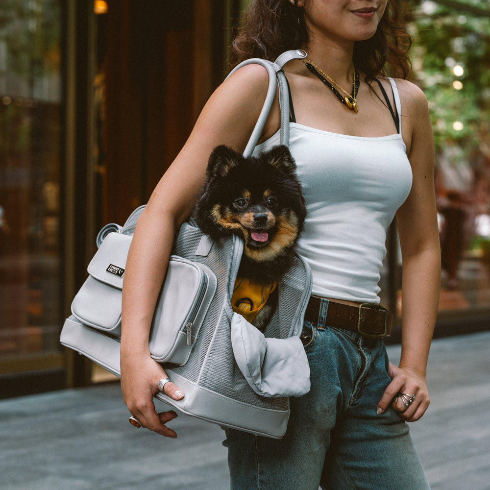 Pet carrier with mesh ventilation for puppies and kittens, perfect for summer adventures.