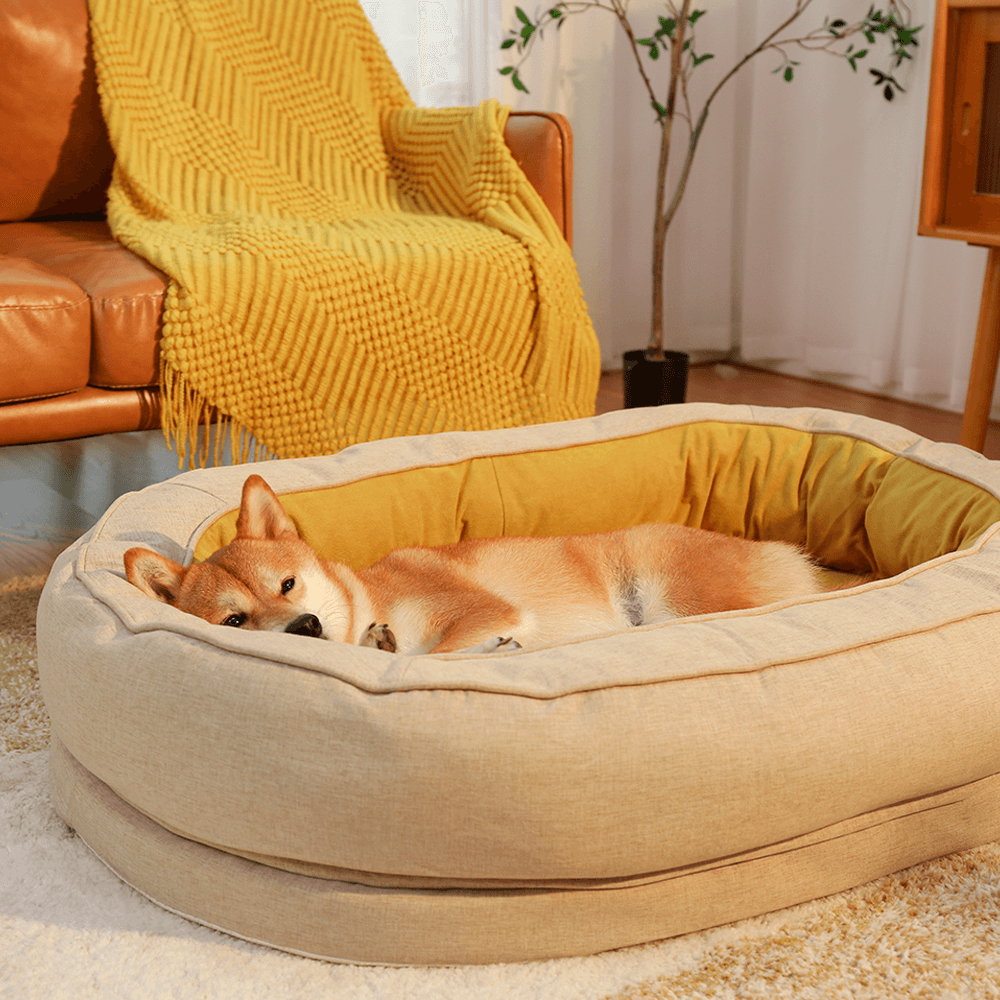 ComfortCare Orthopedic Donut Dog Bed in use, providing comfort and support