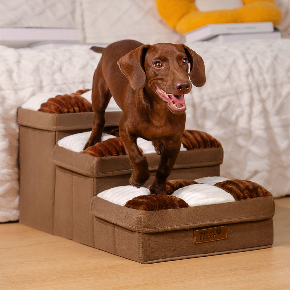 Foldable pet stairs for high beds in use by a small dog