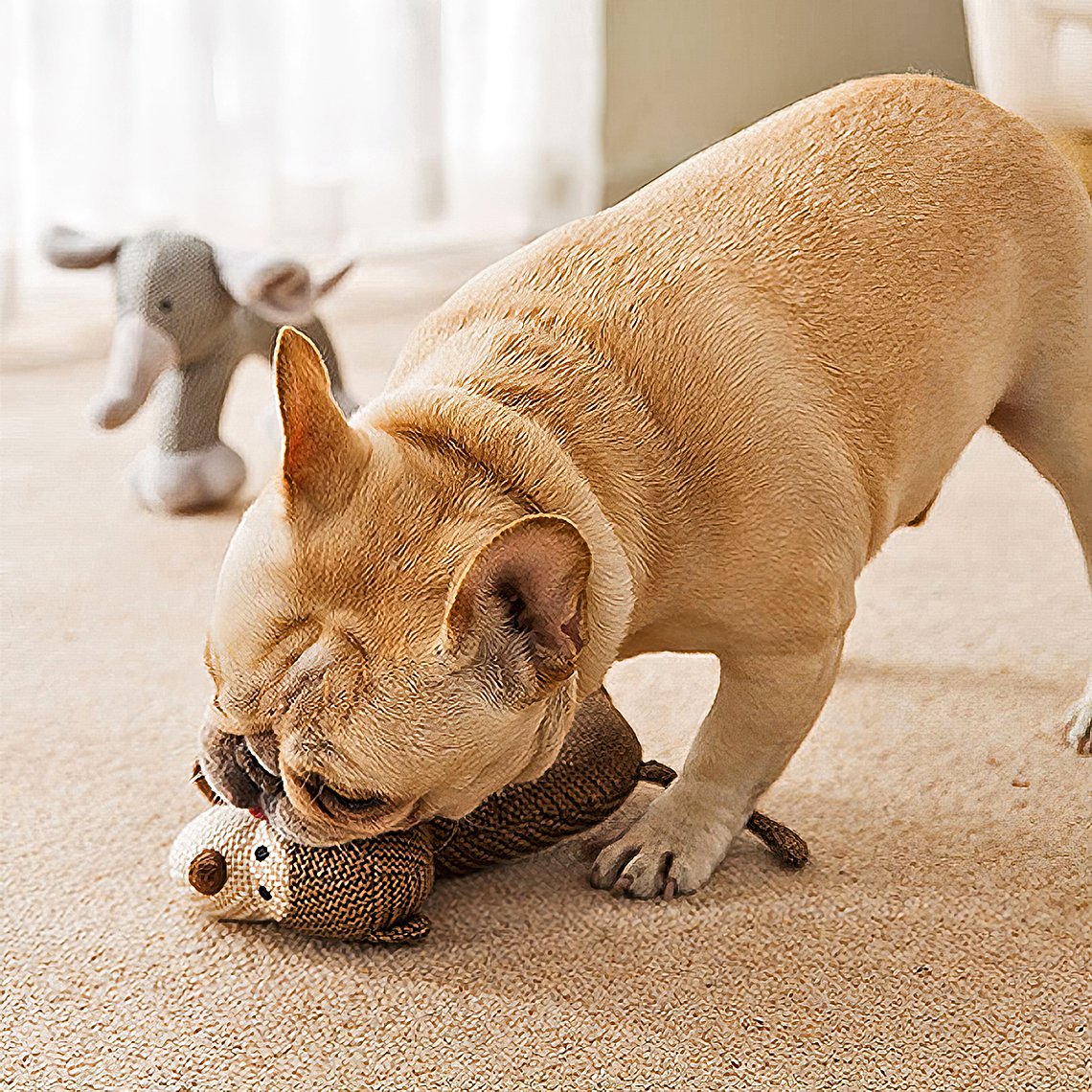 Deluxe Animal Squeaky Plush Dog Toy - Elephant design with vibrant colors.