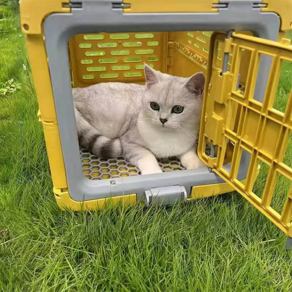 PawsomeTravel Pet Carrier - Collapsible and breathable design for small dogs and cats