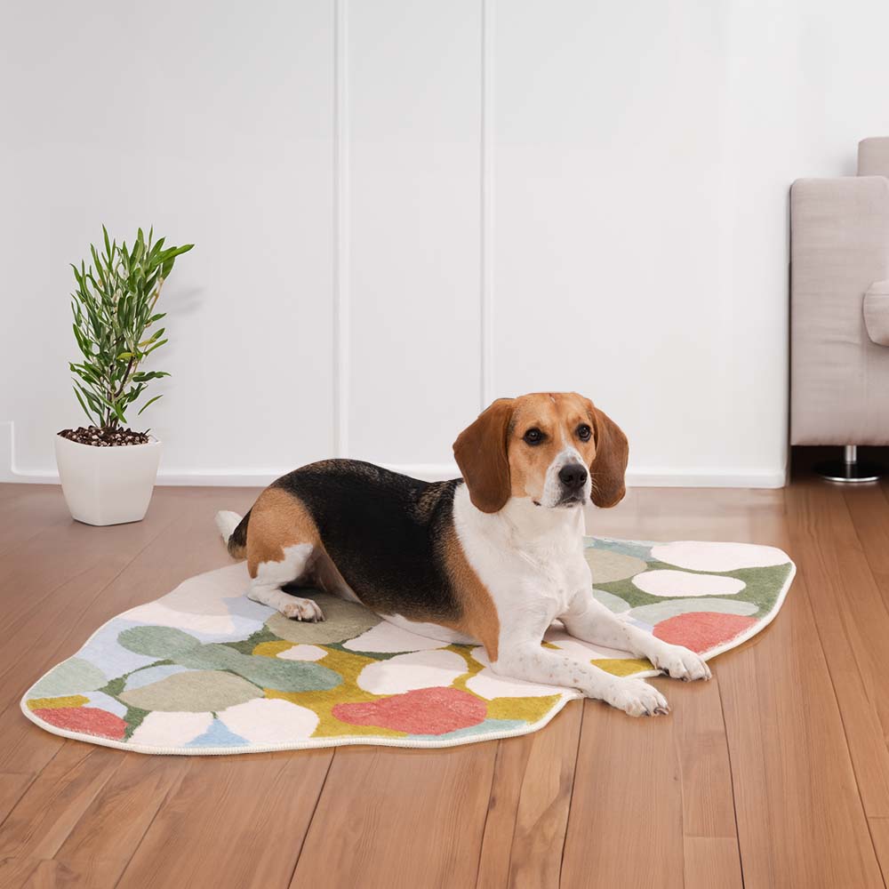 CozyPet Plush Pet Rug Mat in a cozy living room setting