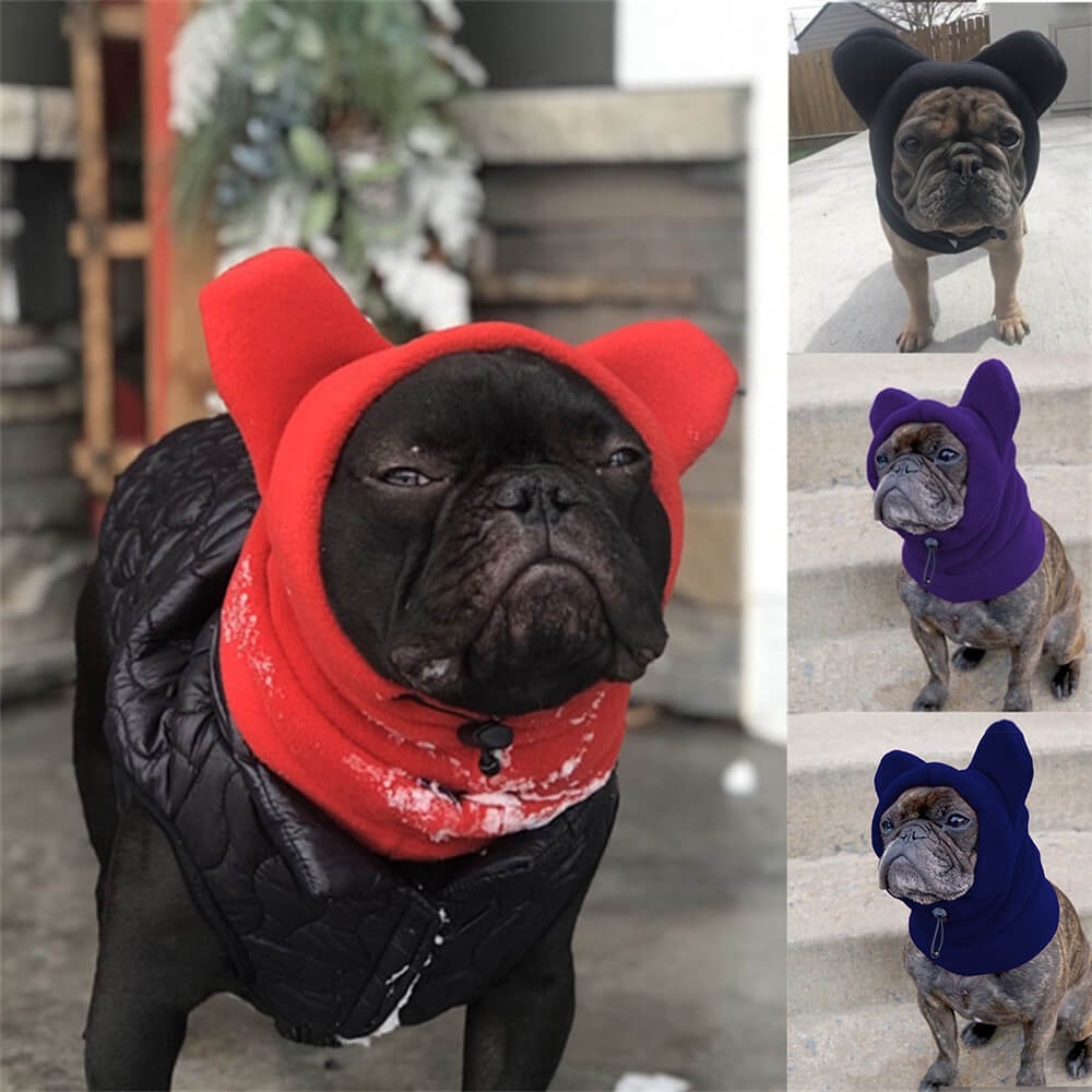 Small dog in a warm fleece dog hood with bear ears, enjoying a snowy outdoor adventure.