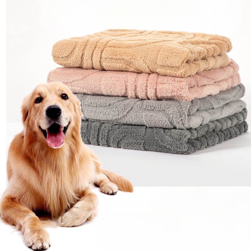 A happy golden retriever napping peacefully under a large, soft beige plush pet blanket on a wooden floor.