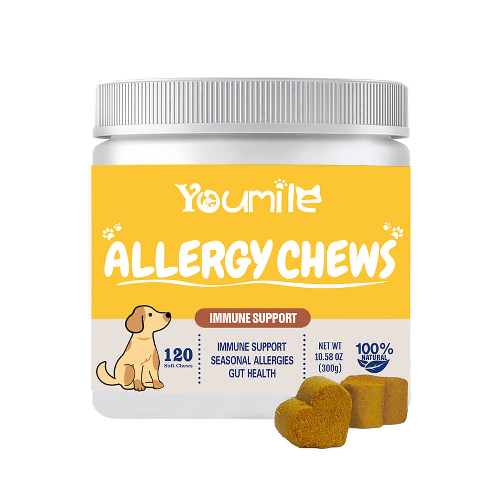 Close-up of dog allergy relief chews for itchy skin and seasonal allergies