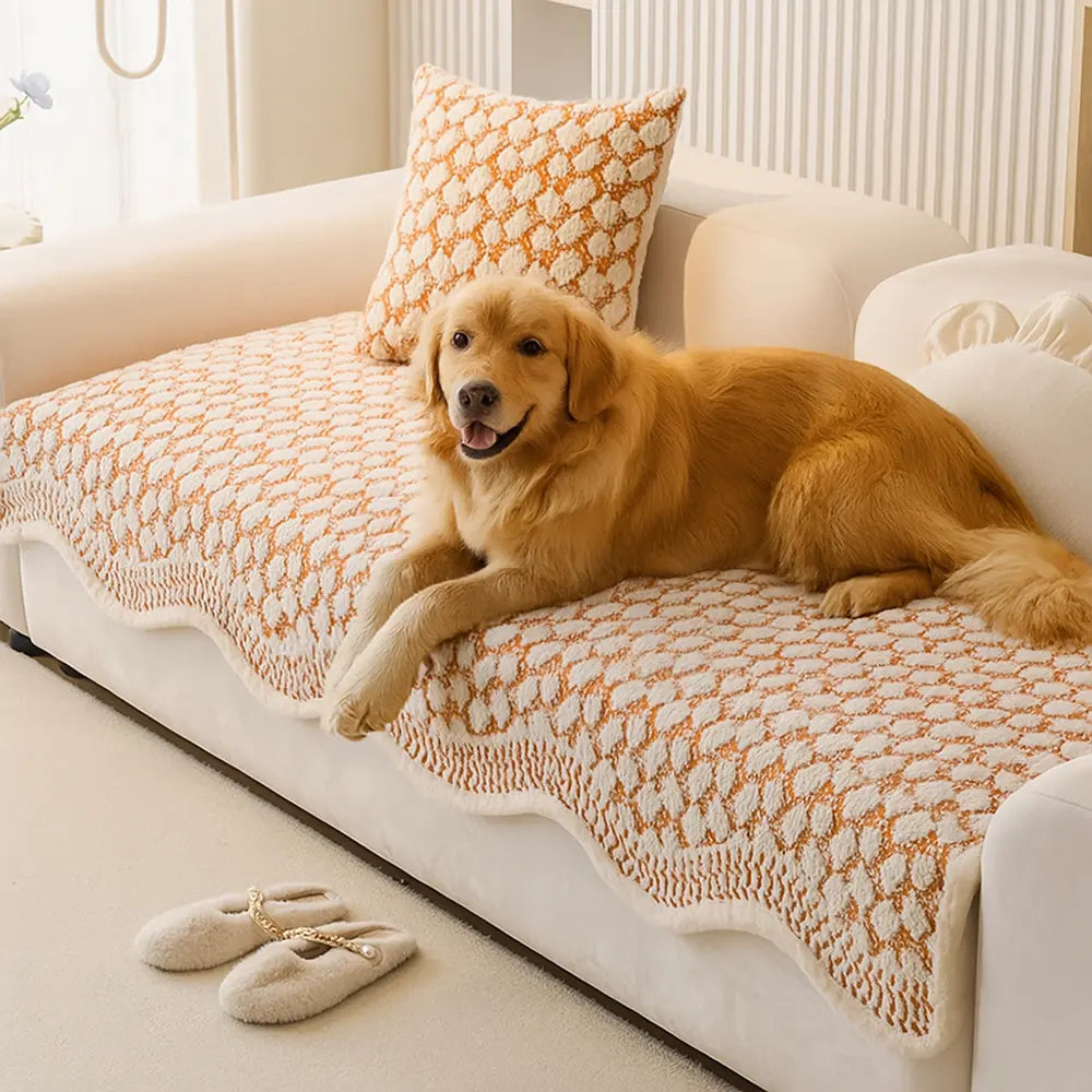 Pawsome Chenille Sofa Shield on a vintage sofa