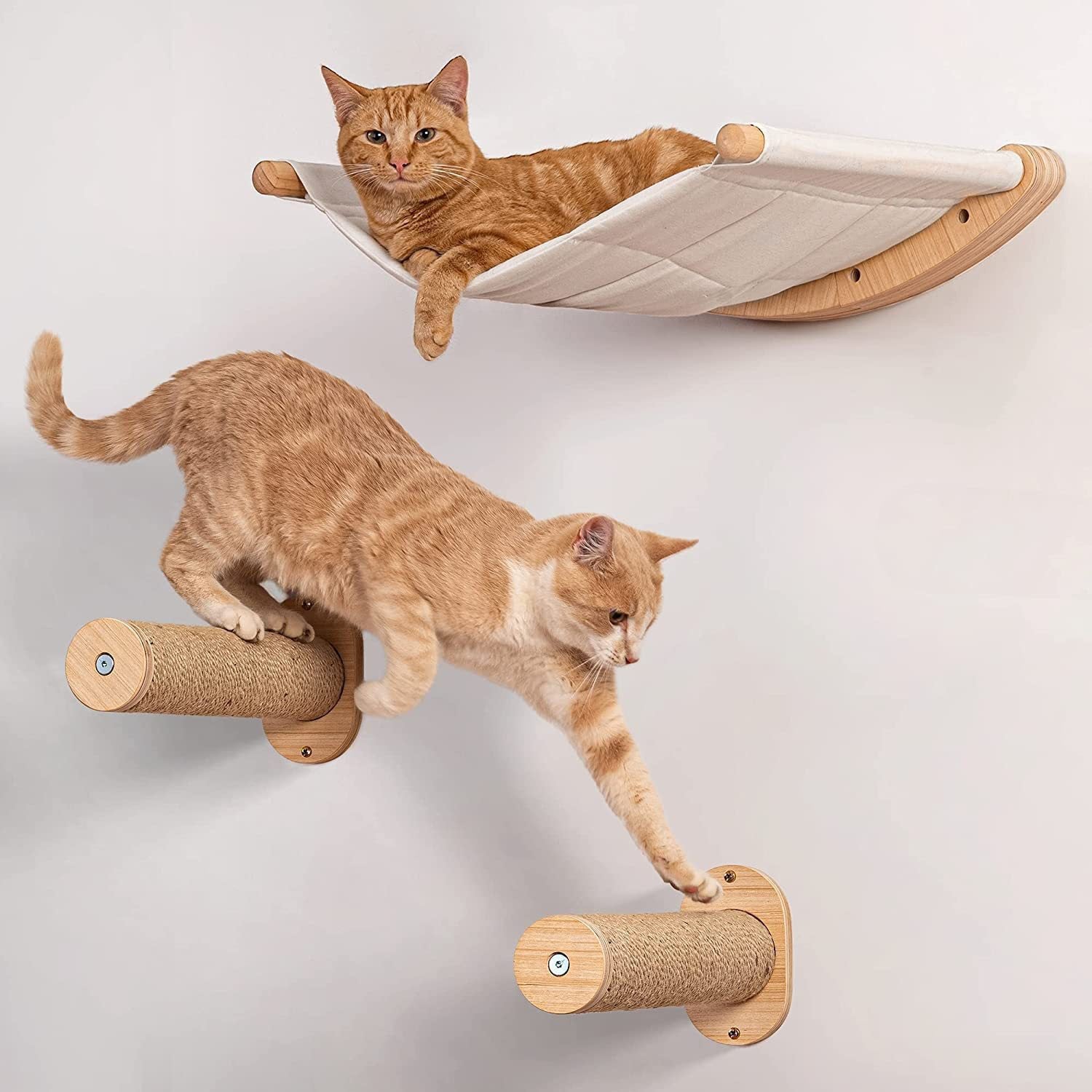 Cat lounging in wall-mounted hammock, showcasing comfort and relaxation