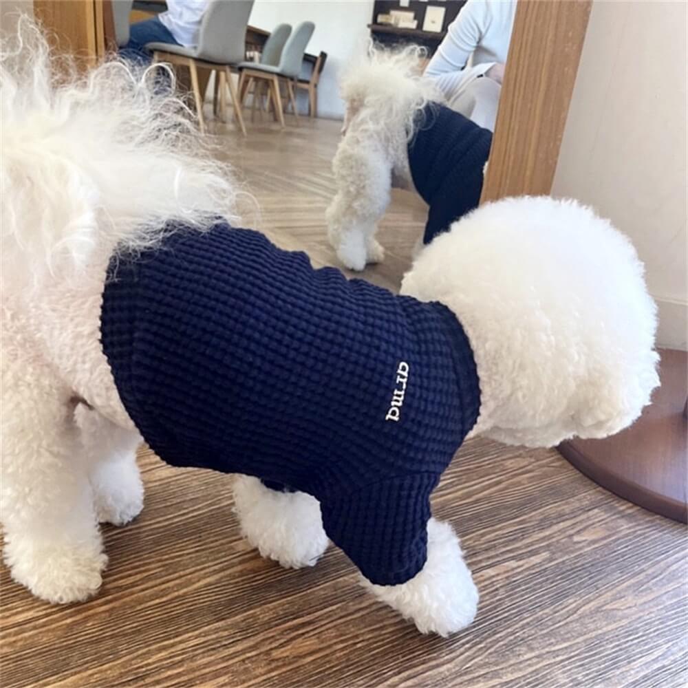 Small dog wearing a cream waffle knit sweater outdoors