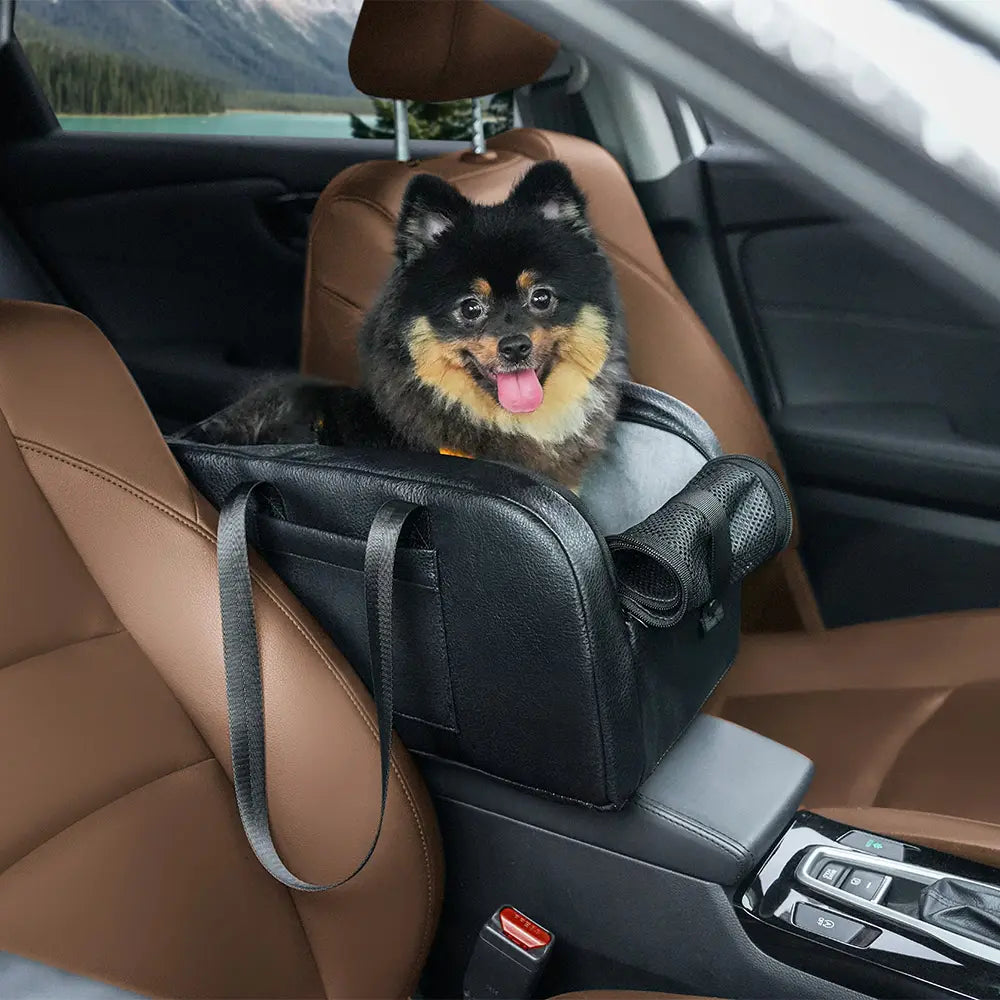 SnuggleRide car seat positioned on a center console with a Chihuahua inside enjoying elevated window view