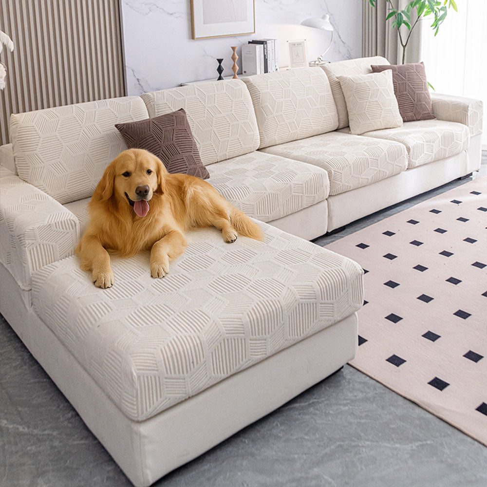 Waterproof sofa cover protecting a couch from pet accidents