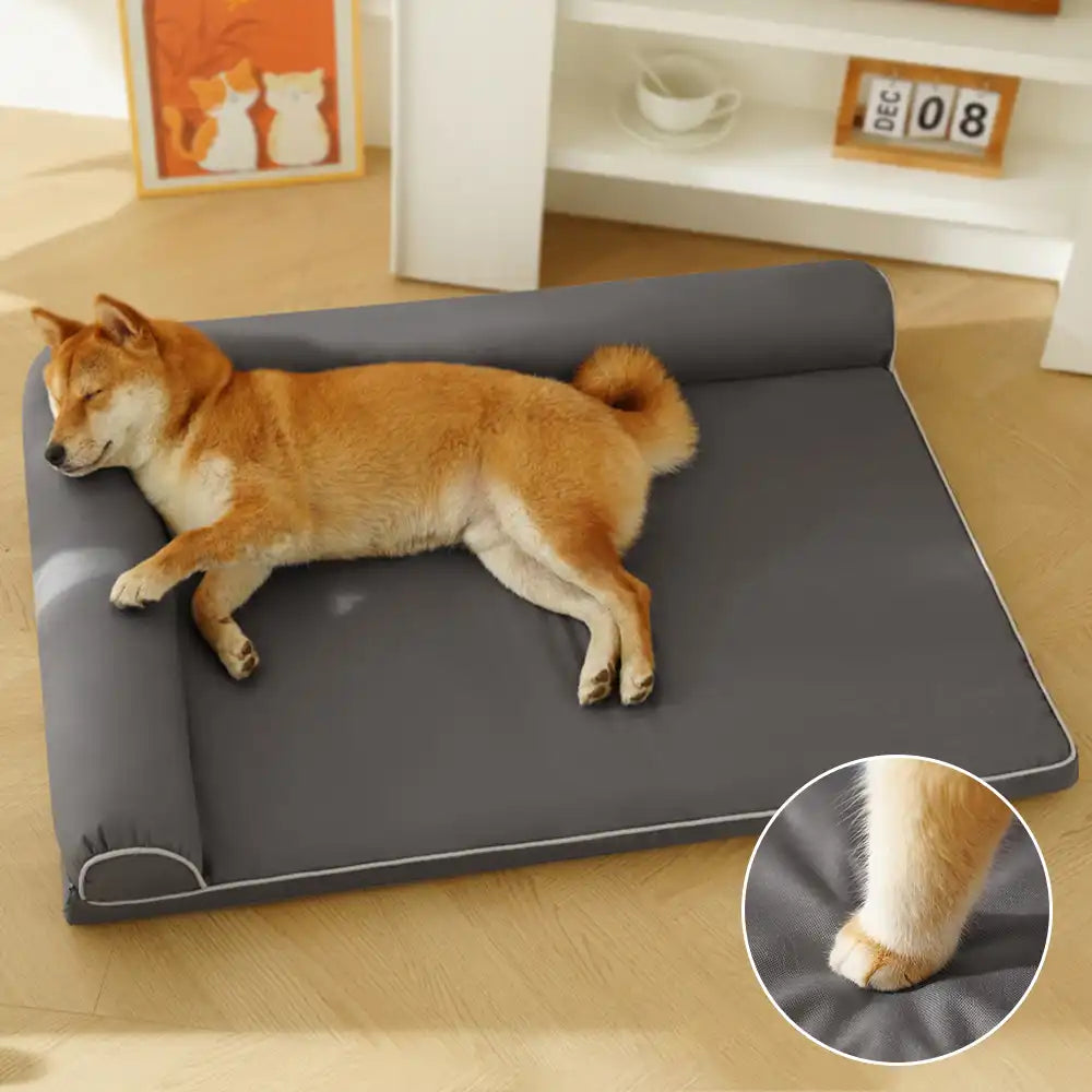 OrthoCloud orthopedic dog bed in a living room, showing large dog resting comfortably