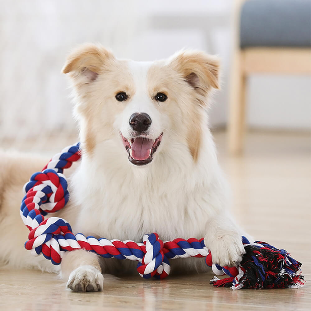 Dog playing tug of war with the durable rope dog toy