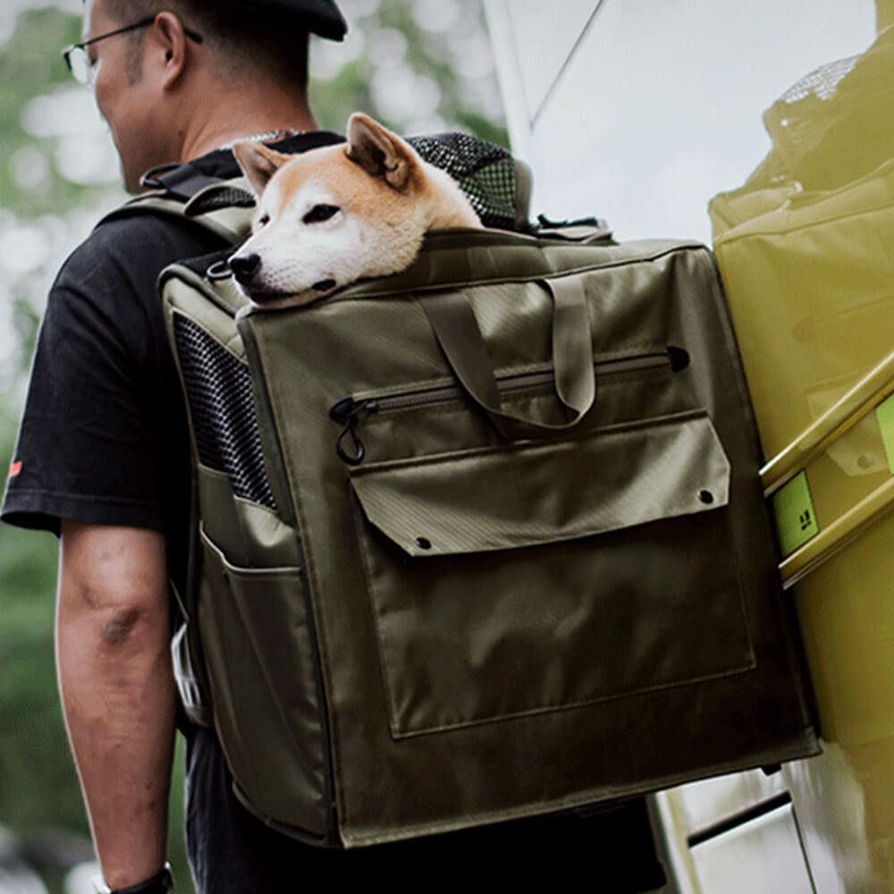 Waterproof pet travel backpack with breathable mesh panels