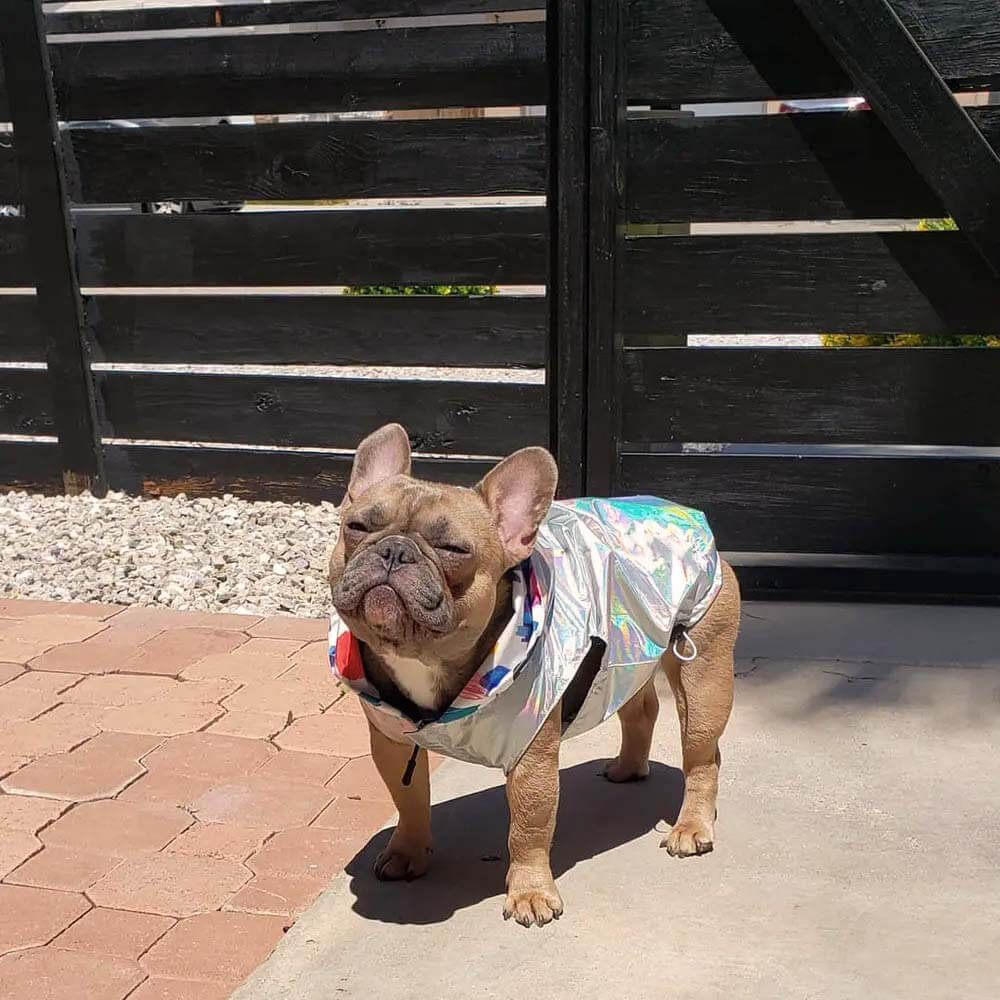 Graffiti side of the reversible dog rain coat showcasing street style.