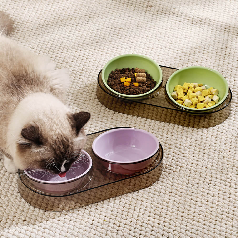 Close-up of ergonomic tilted pet bowl with transparent design and anti-slip pad