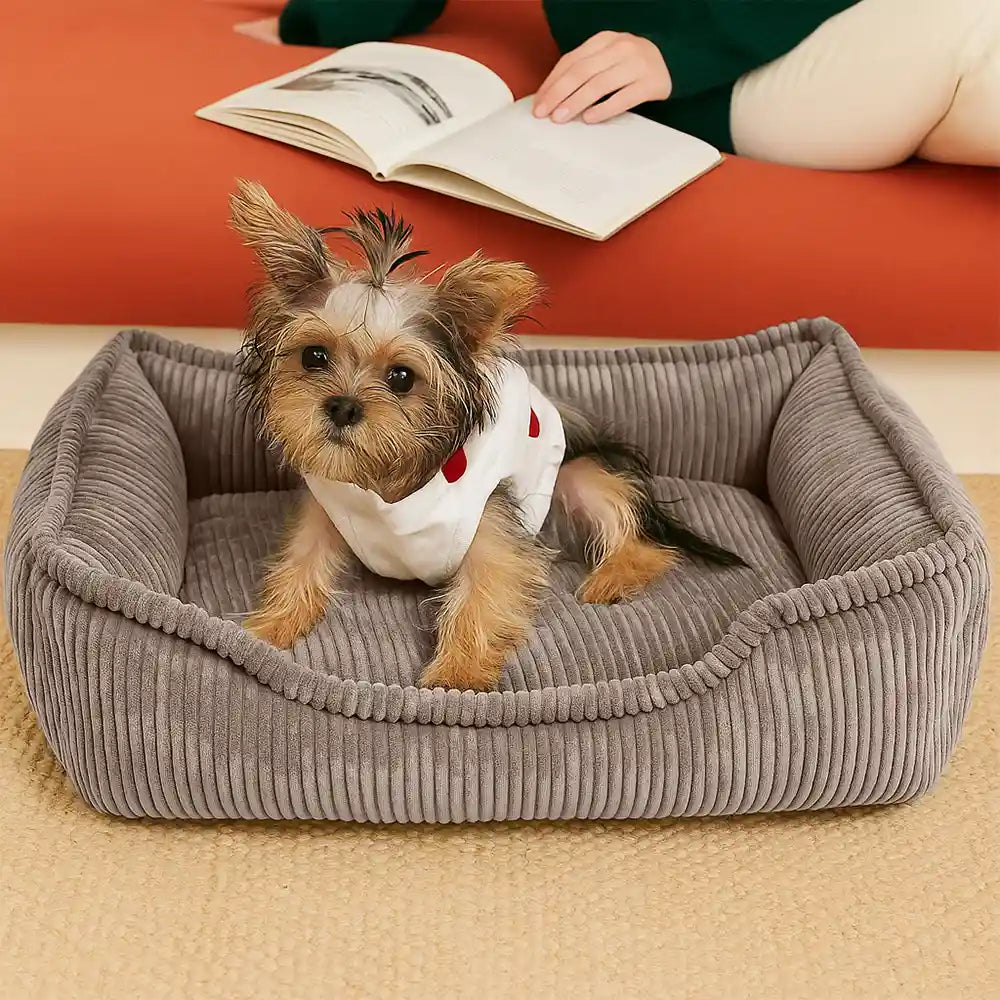 Close-up of textured corduroy fabric on small dog sofa bed