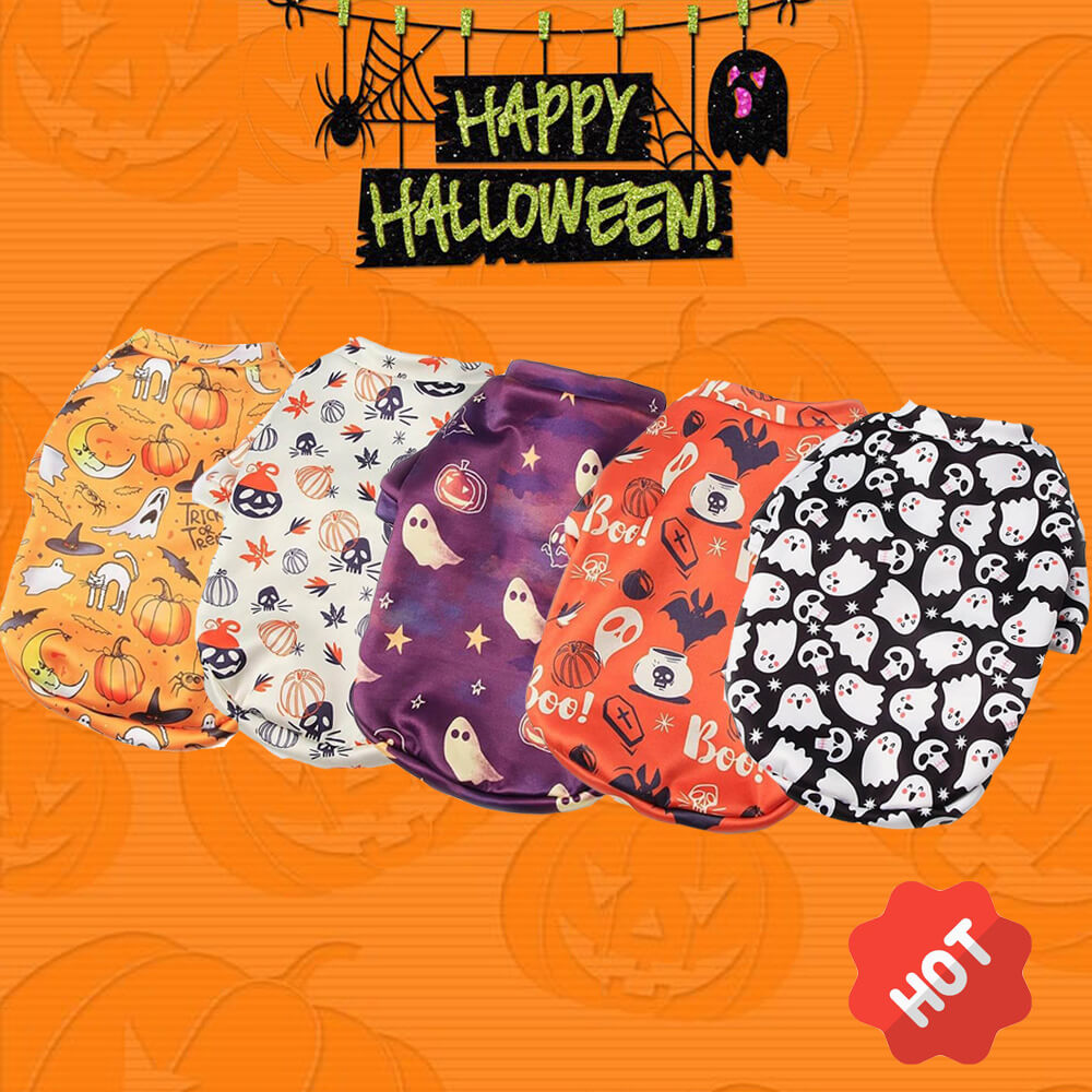 Small dog in a warm plush pumpkin and ghost Halloween pet costume, front view