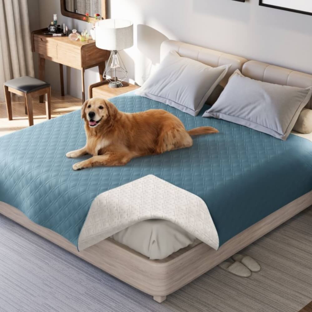 Close-up of waterproof pet blanket with TPU coating on a sofa surface