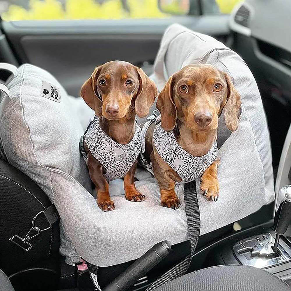 Dog car seat secured with safety belt in vehicle