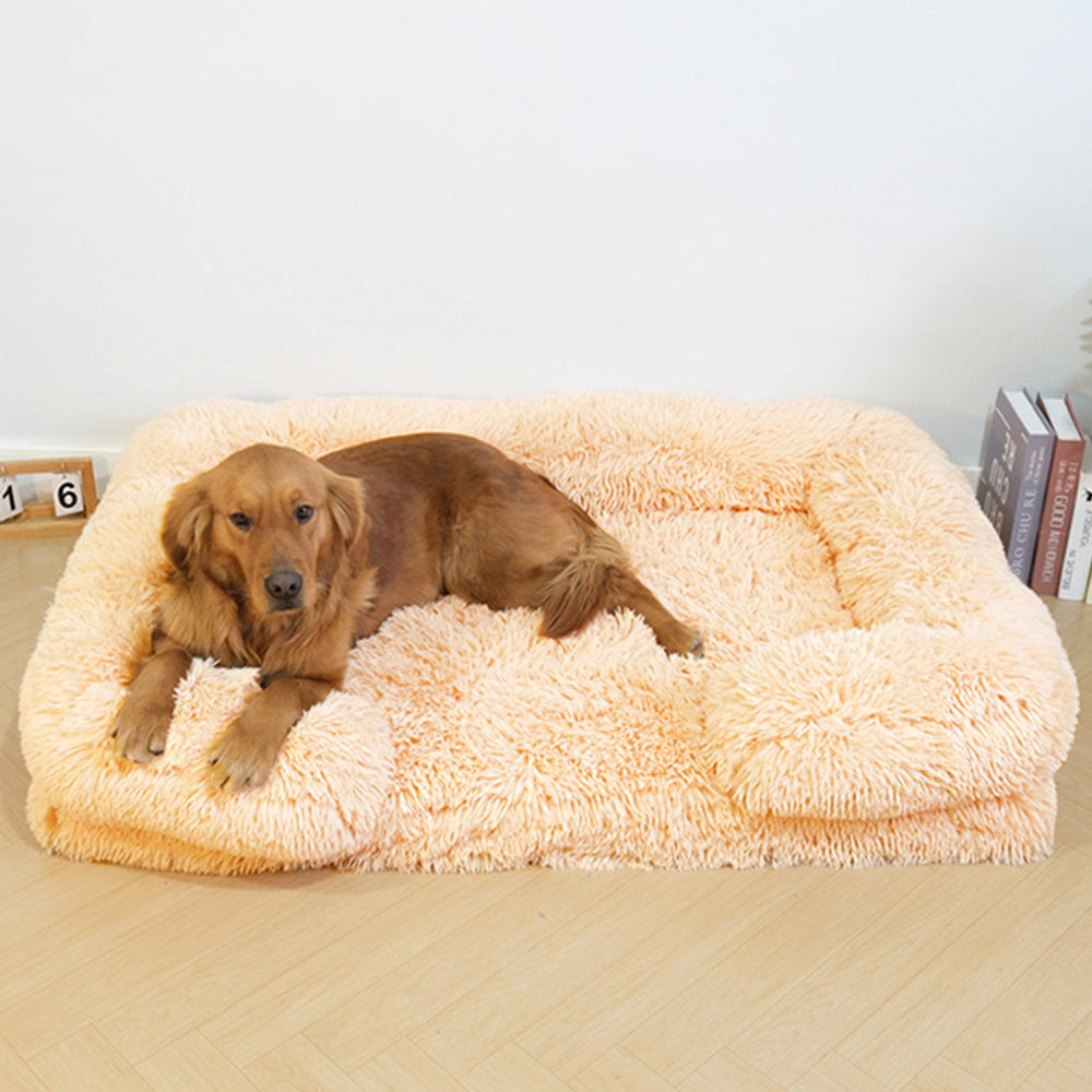 CloudSoft dog bed showing elevated support design for large dogs
