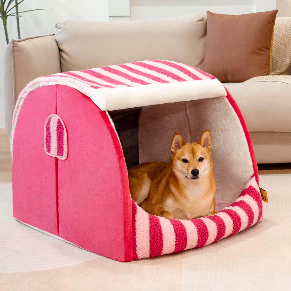 Orthopedic striped dog bed in a living room, showcasing its modern design