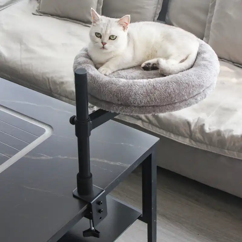 A fluffy ginger cat comfortably lounging on an adjustable rotating cat bed for desk, attached to a modern wooden desk, with a laptop in the background.