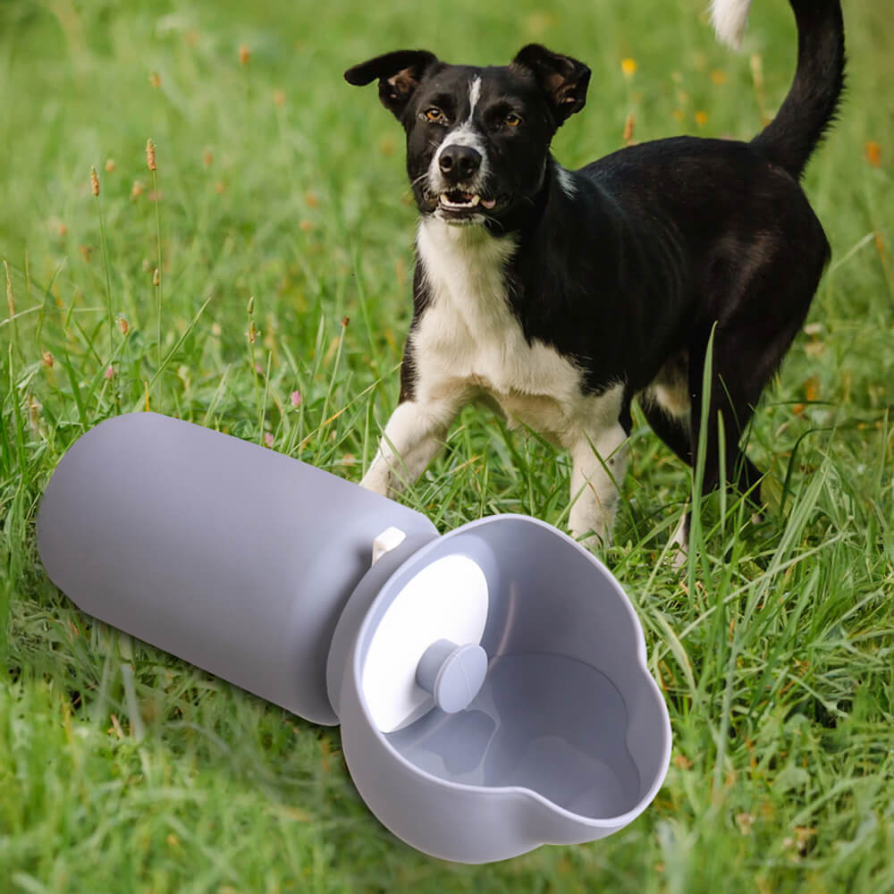 Portable outdoor folding pet water bottle in use during a hike