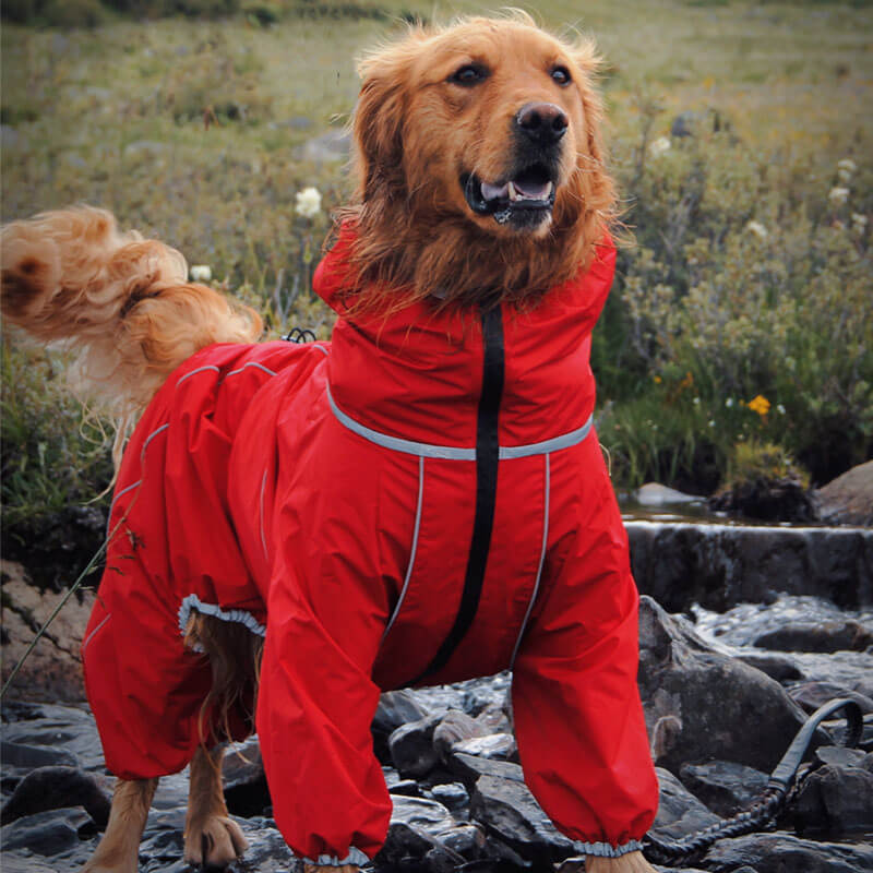 A happy golden retriever wearing a bright yellow StormGuard Pro large dog raincoat, standing in a lush green park after a rain shower.