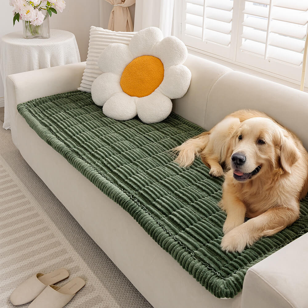 Soft flannel pet mat draped over a sofa with a golden retriever lounging
