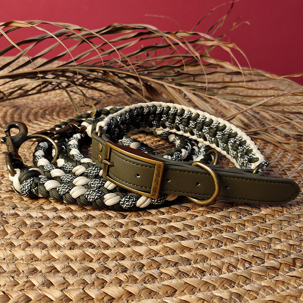 TerraWalk Hand-Woven Leather Anti-Pull Dog Leash and Collar Set - Front View