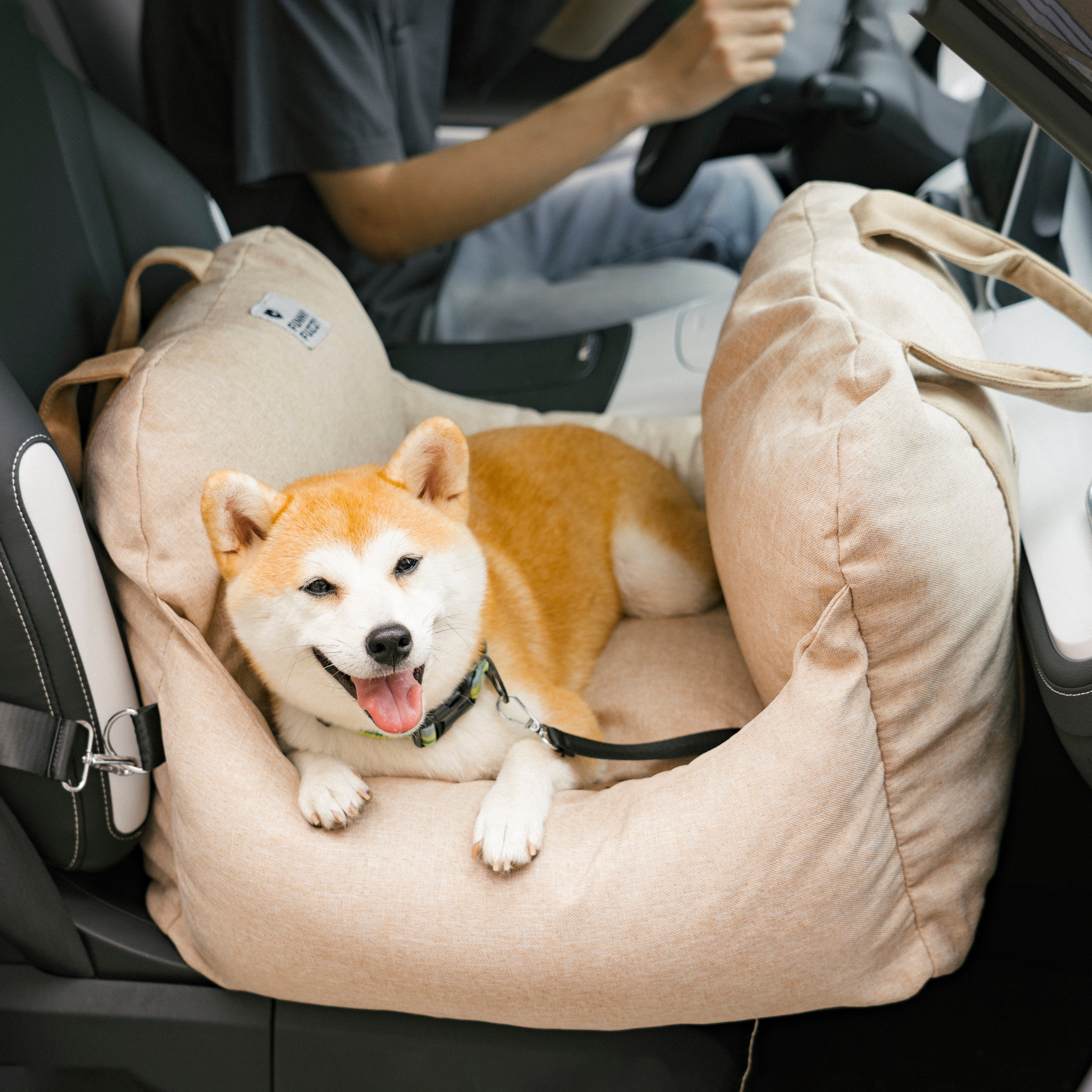 Front view of First-Class Pet Car Seat with safety harness and plush pillows