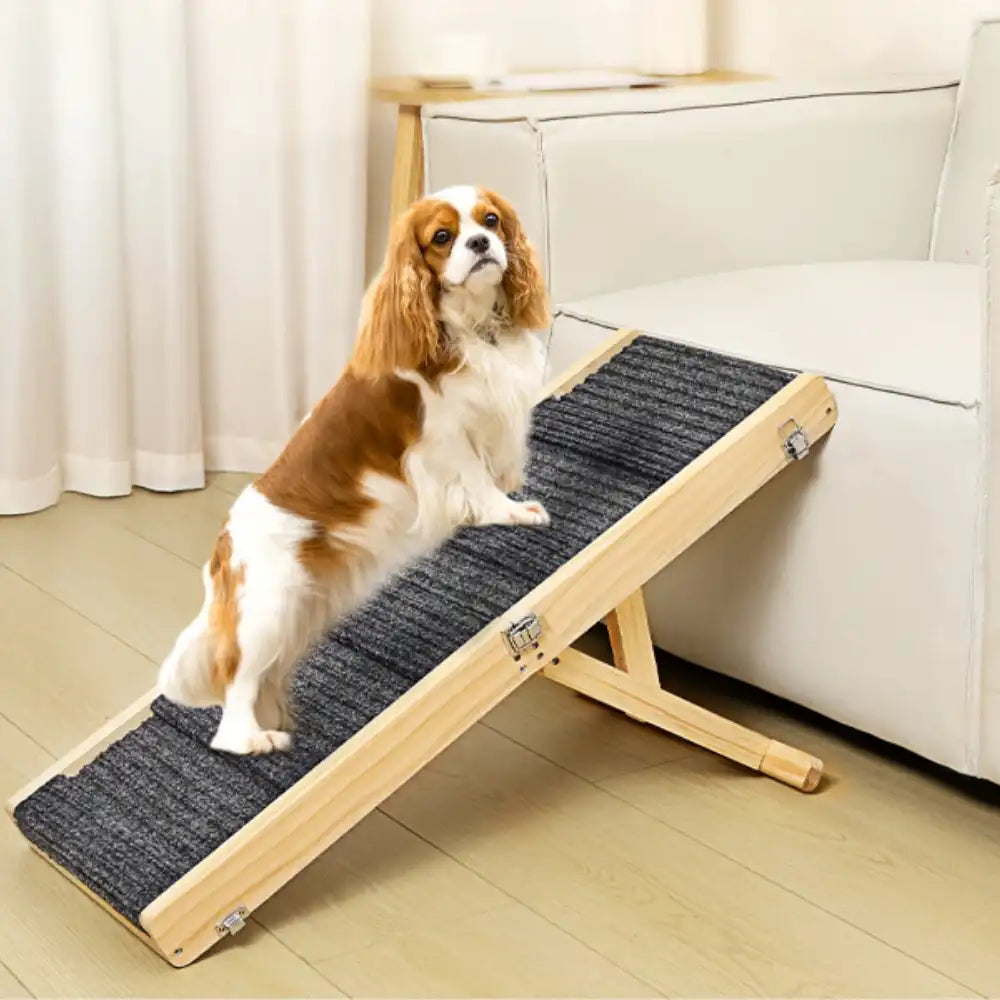 Adjustable wooden dog ramp folded for storage, showing leather handle