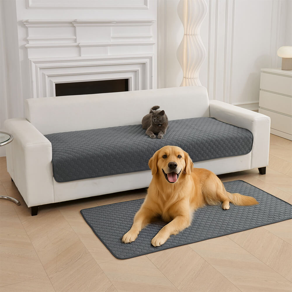 PawGuard washable pet mat placed on couch for sofa protection