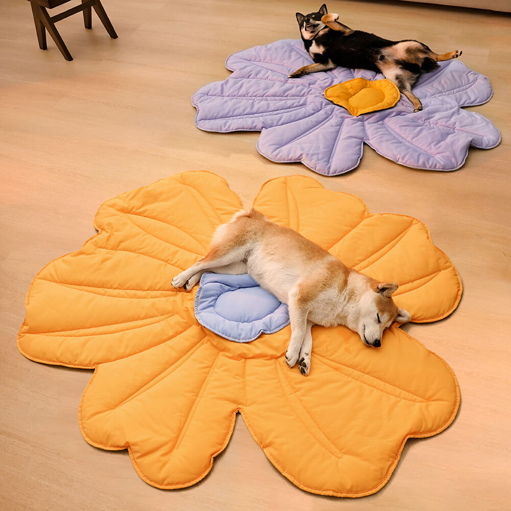 Top view of extra large dog bed with pet lounging on soft seashell-shaped cushion