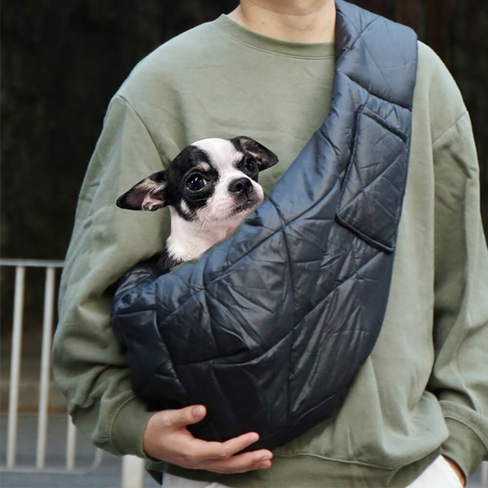 Cozy pet carrier bag for travel, showing secure zipper and comfortable handles.