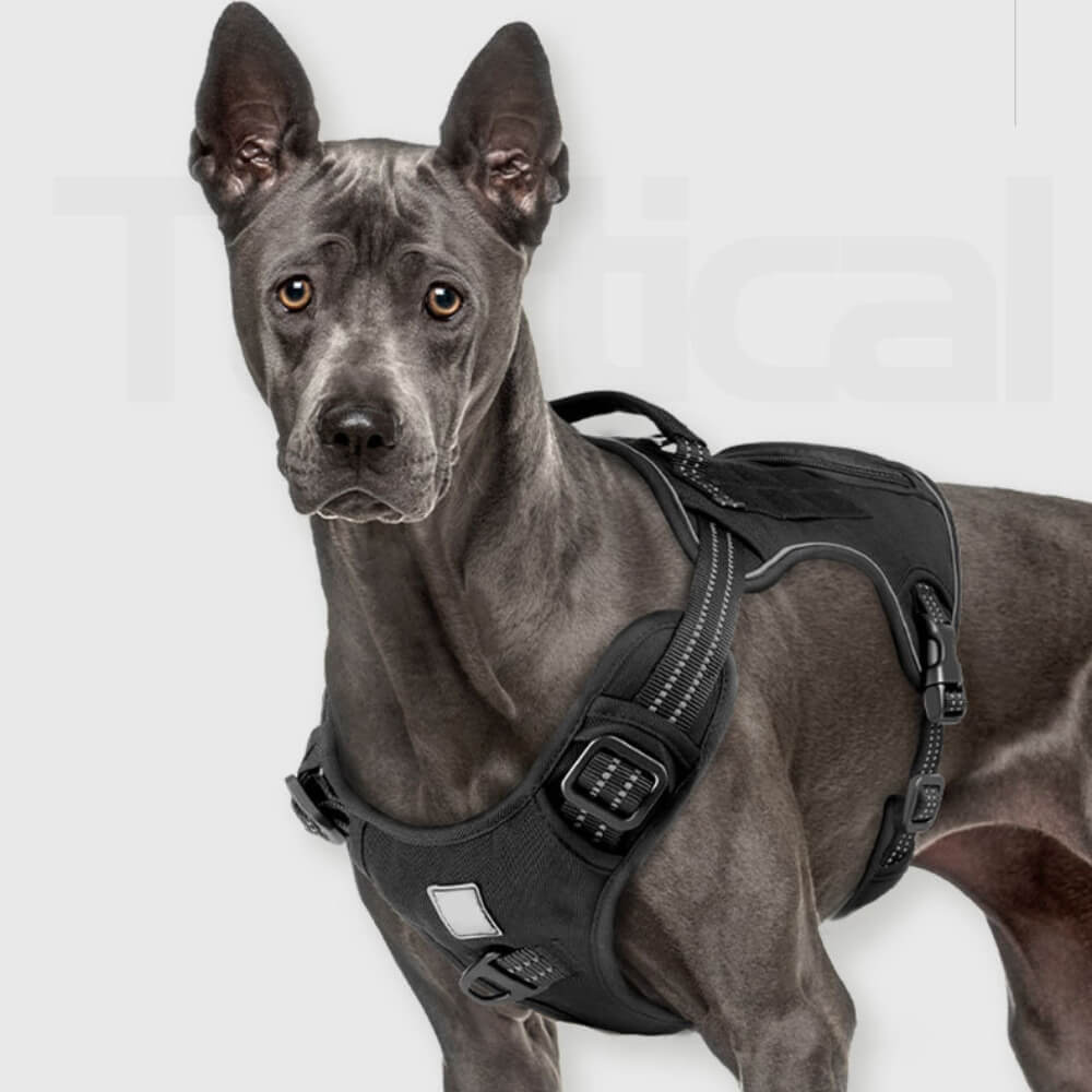 Close-up of tactical dog harness showing handle and storage pockets